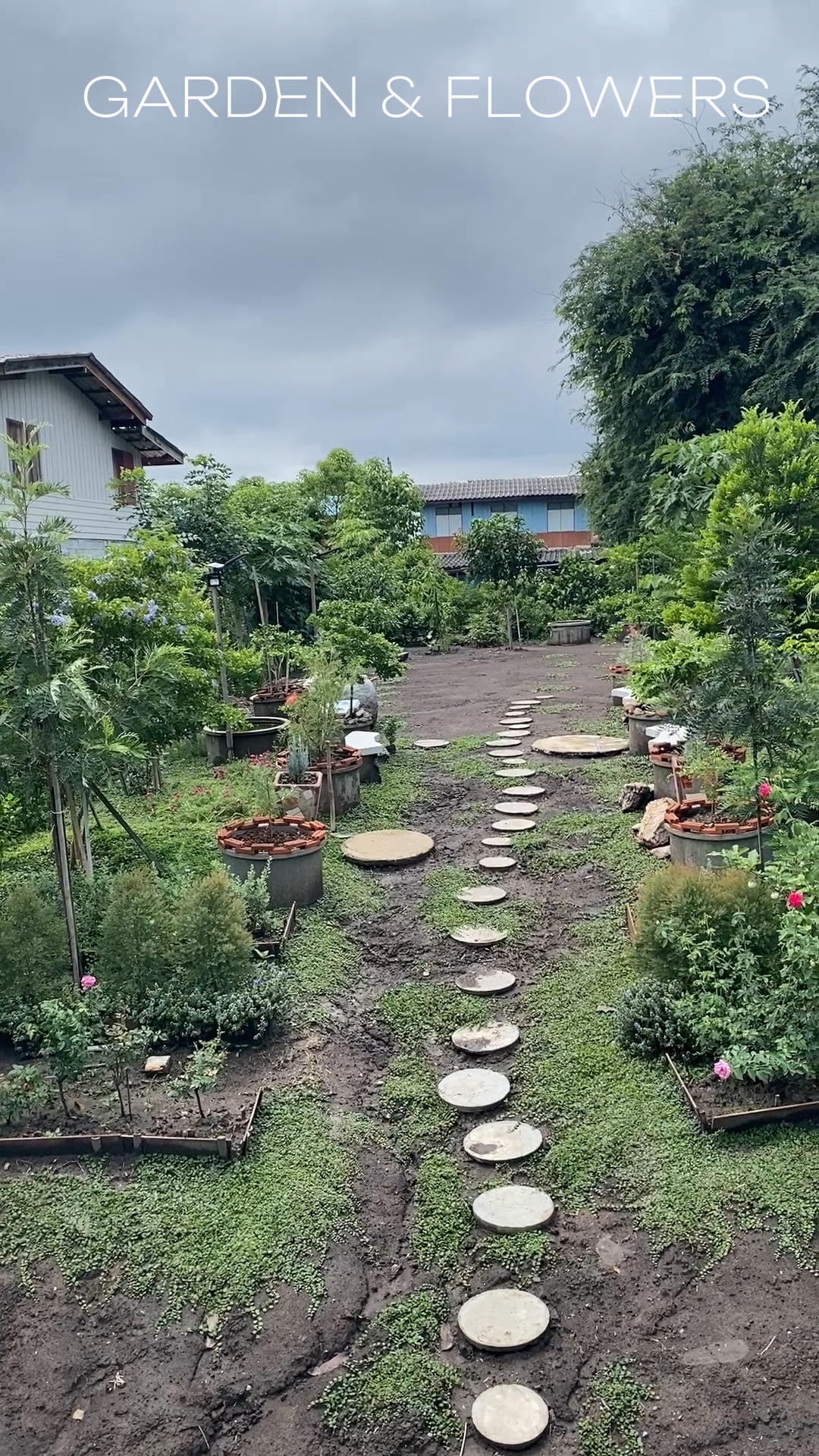 JARDÍN Y FLORES 🏡🌼🌿