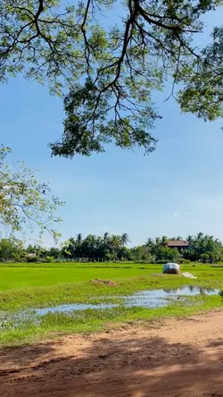 ទេសភាពស្រុកស្រែ