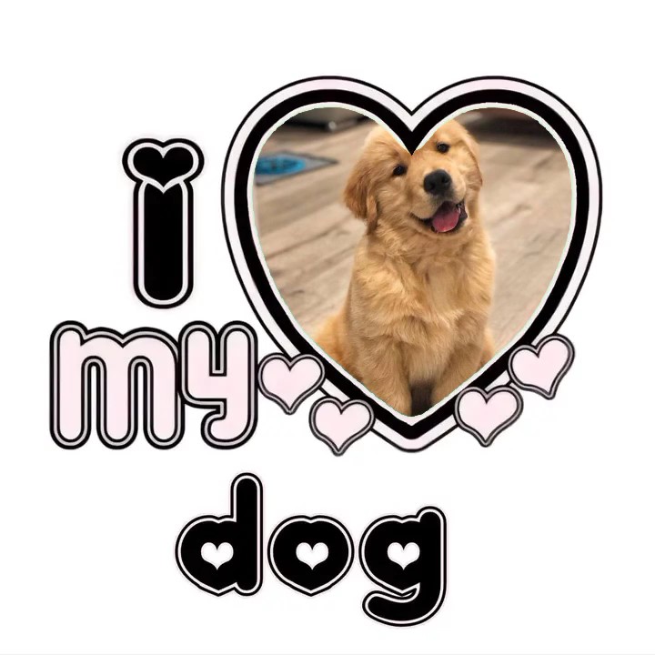 I love my dog