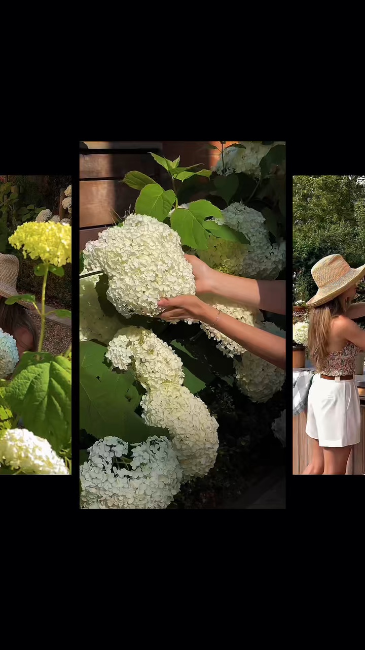 Gardening