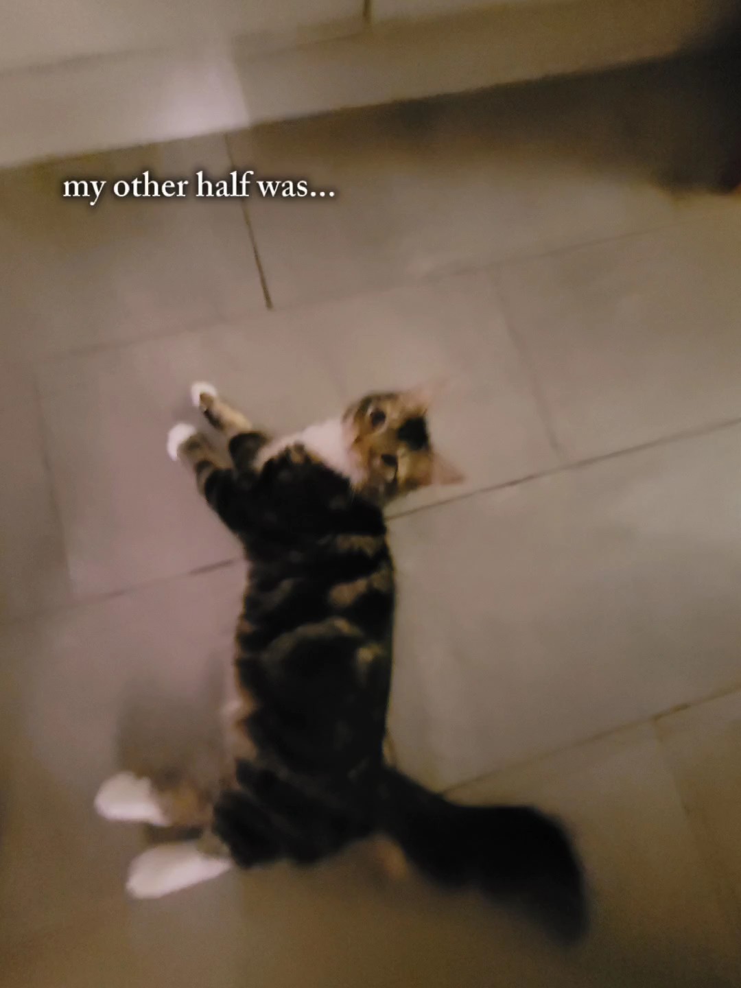 my other half was...
