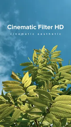 Cinematic Filter