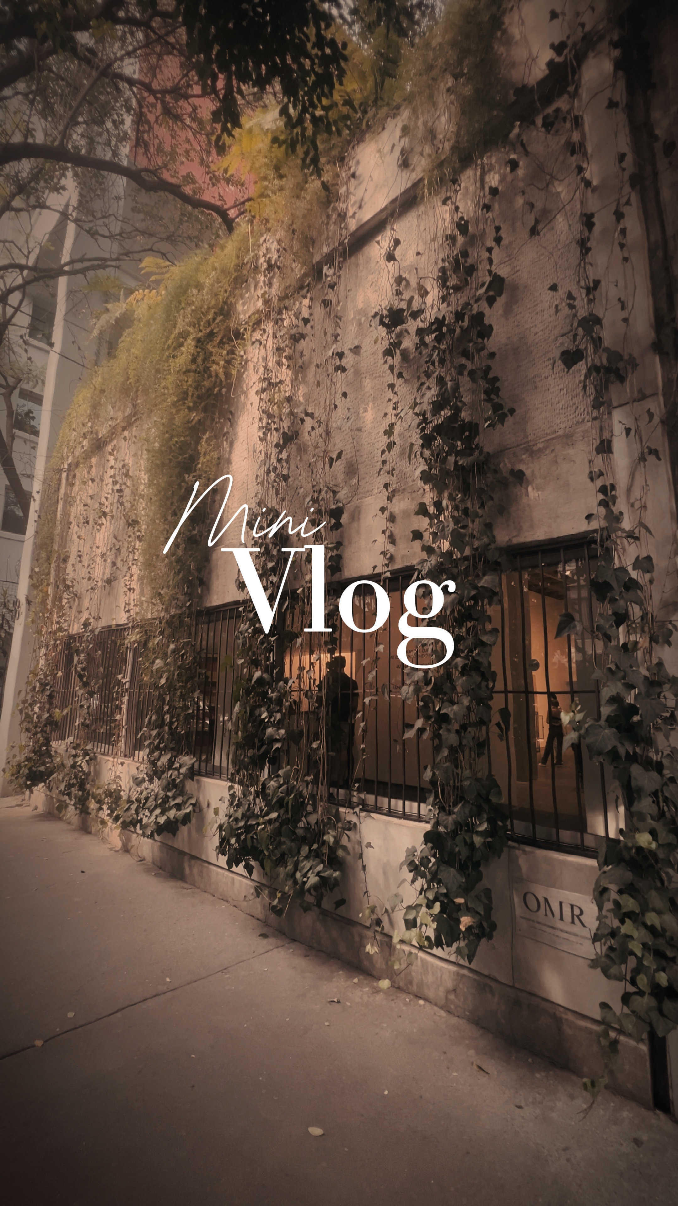 Mini vlog