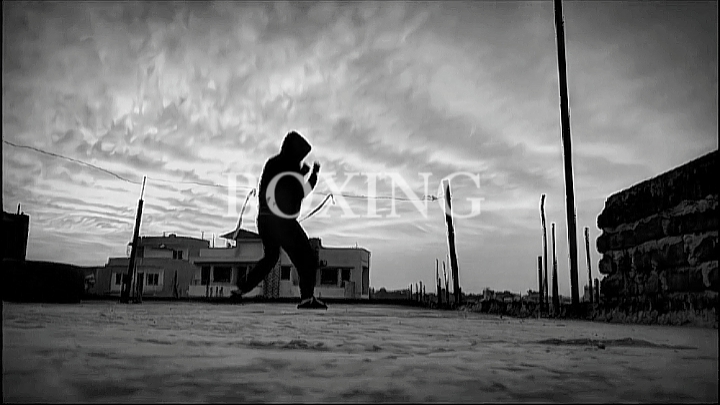 Boxeo de tendencias 