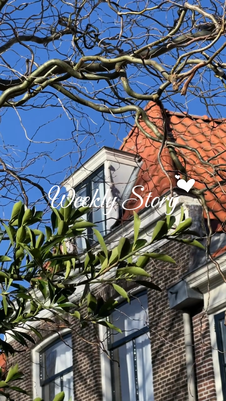 weekly story 