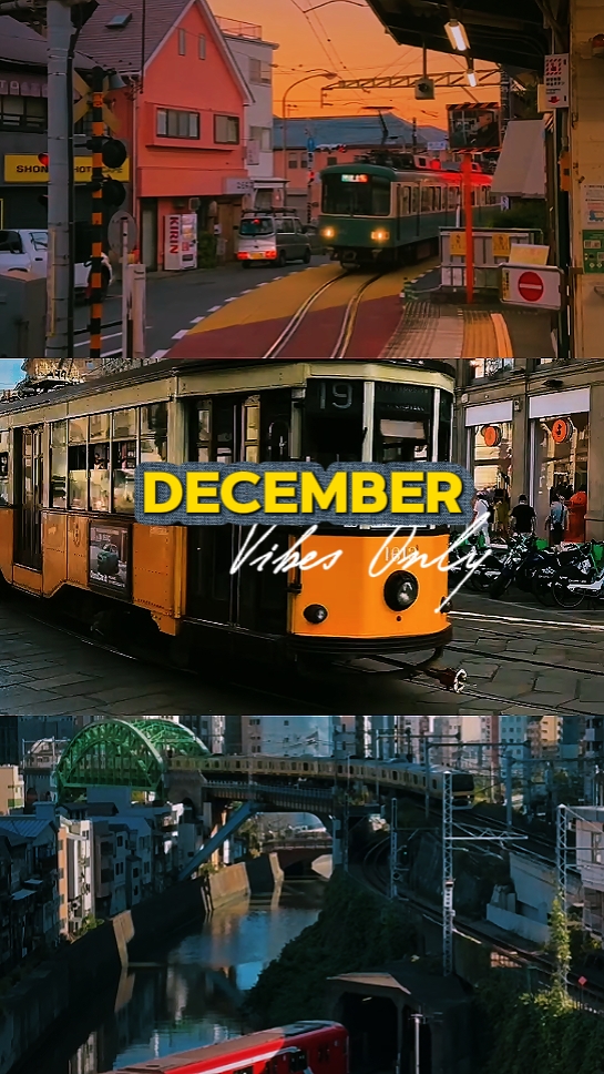 VIBRAS DE DICIEMBRE SOLO