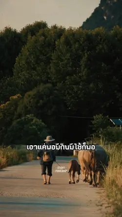ไม่หวังอะไรมากหรอก