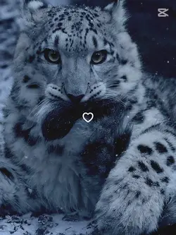 Simple Aesthetic