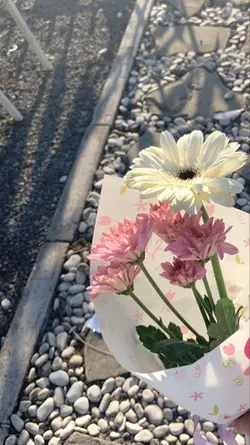 saajanji Ghar Aaye