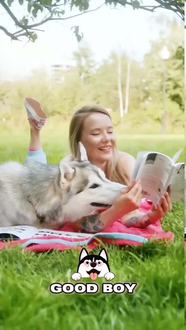 Amantes de los perros