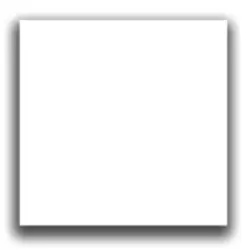 voice watermark