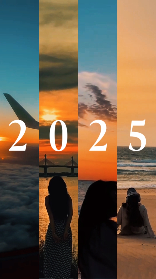 Resumen de 2025