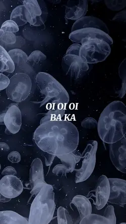oi oi oi 
