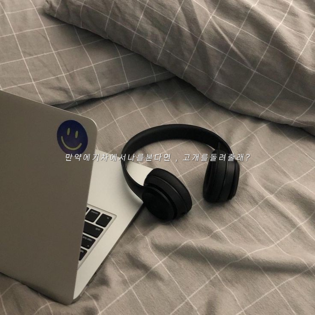 기차에서 나를 마주친다면 모른척해줄래