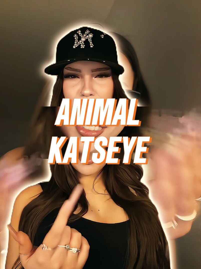 ANIMAL - KATSEYE 