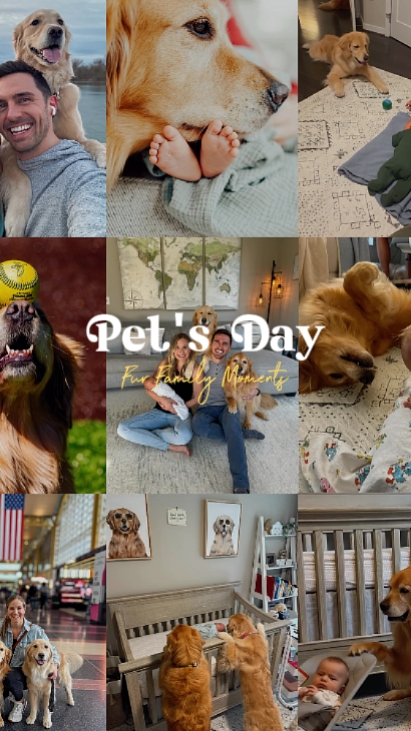 Pet's Day