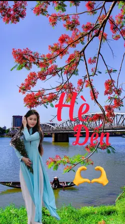 cảnh phượng nở 