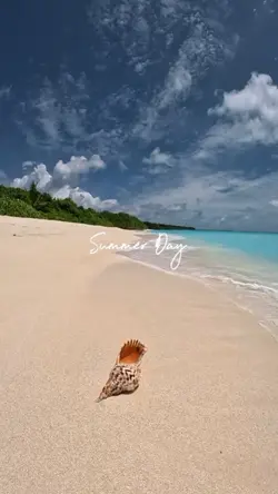 Summer Day