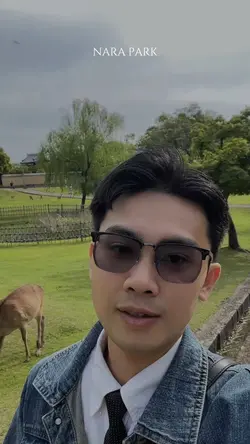Nara park chill