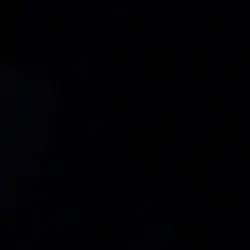 NiYUporu