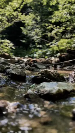 Sungai vibes hd