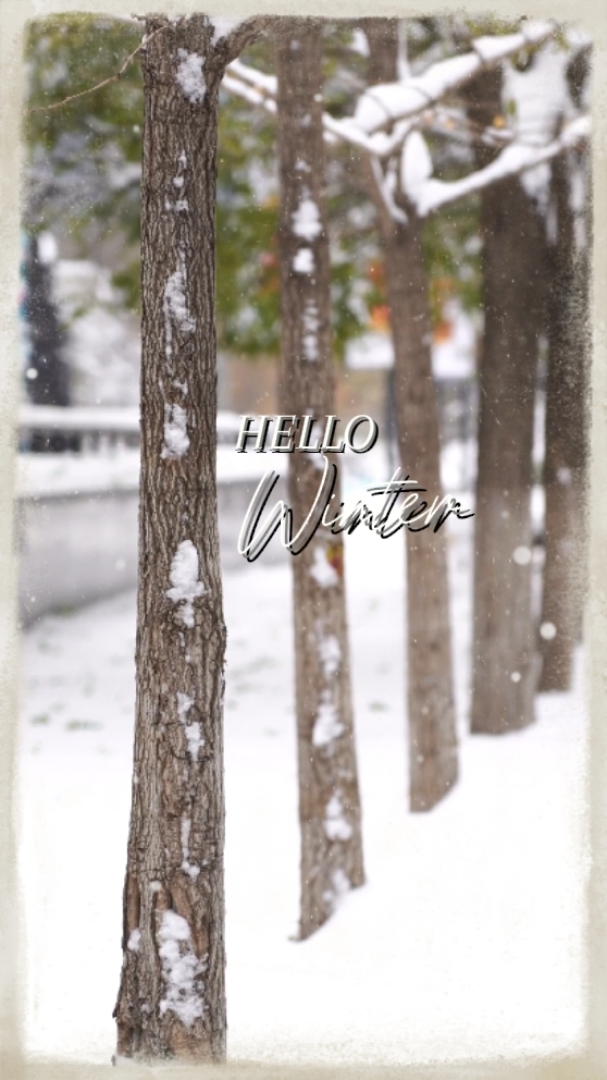 Olá inverno