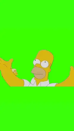 Helicopter Homer