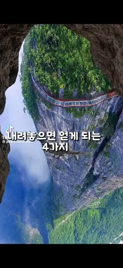 내려놓으면 얻게되는 4가지 
