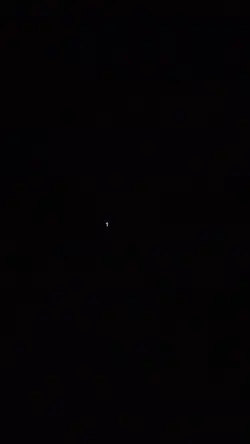 happy purple day amy