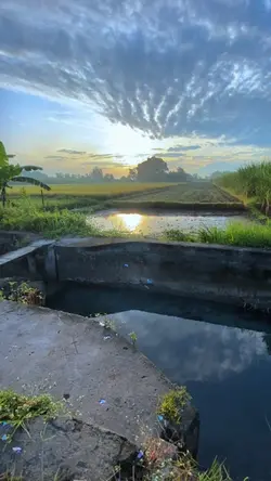 1 klip jernih