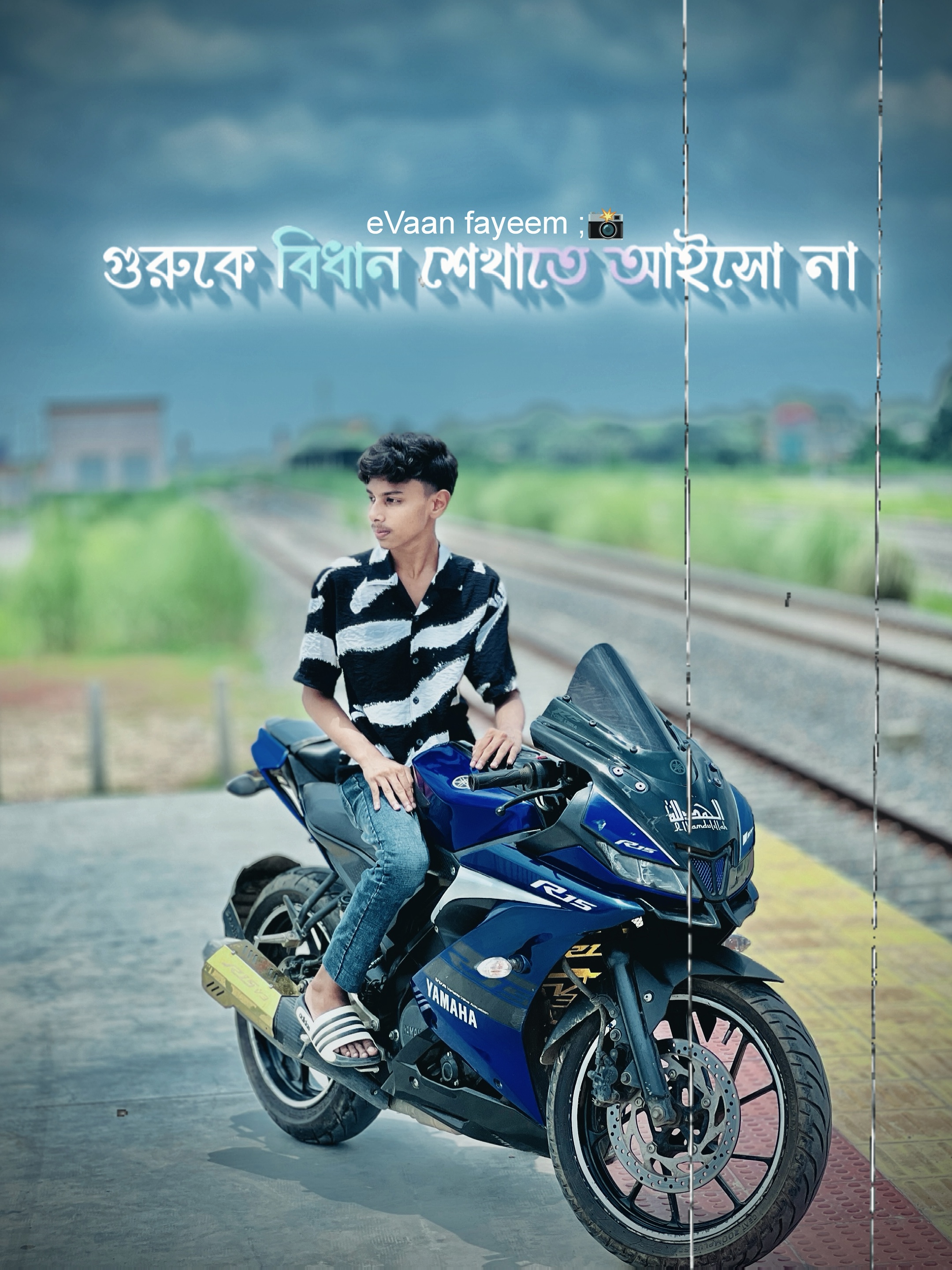 Cover Picture