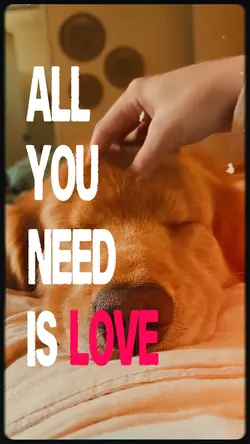 Dog Love