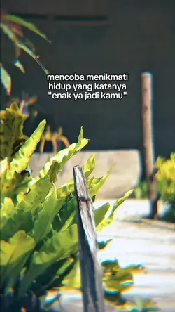 Story wa