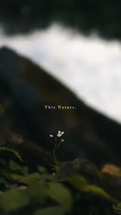 This Nature