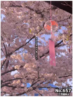 桜の季節(No.657)