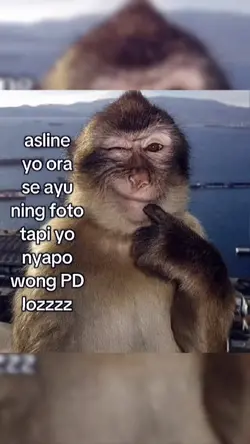 asline ora seayu ng