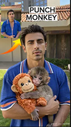 Punch monkey 
