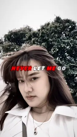 Never Let Me Go