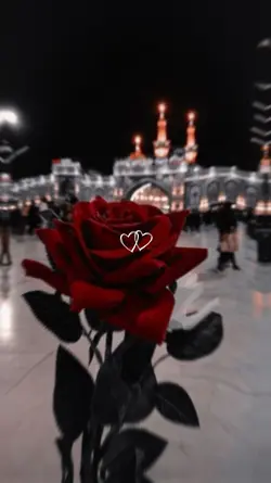 قوالب جديده ترند