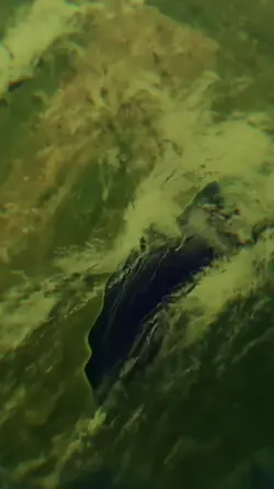 TREND EARTH ZOOM OUT