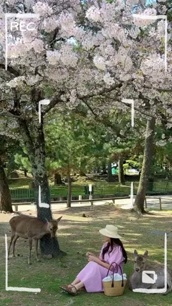 여행 기록 템플릿🧳