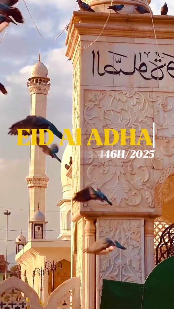 EID al adha cinemati