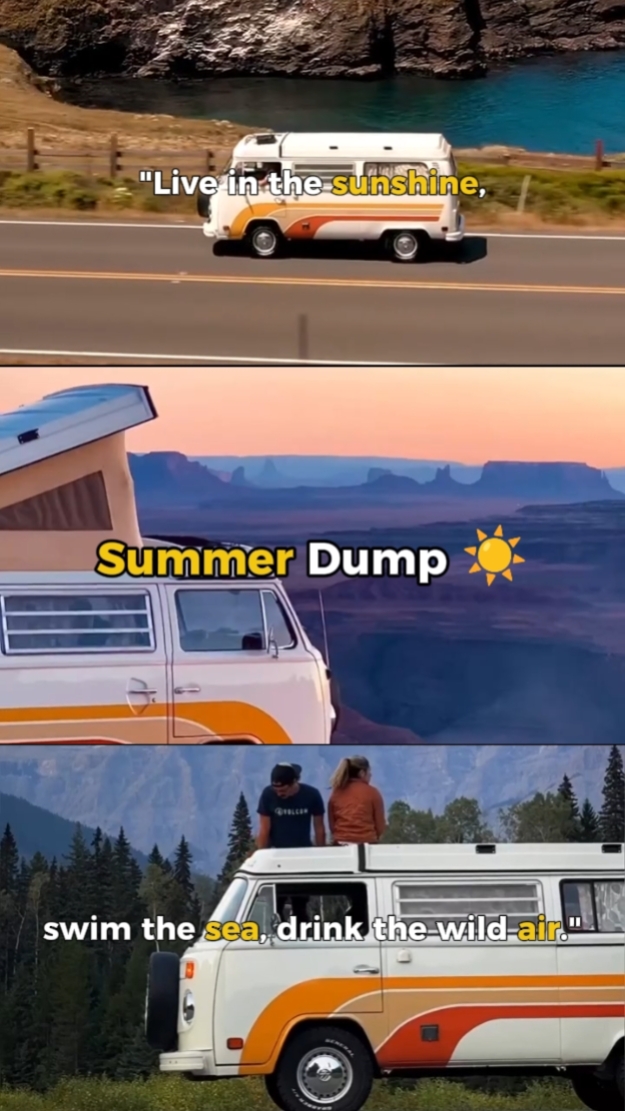 DUMP D'ÉTÉ