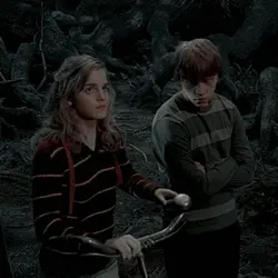 Hermione and Ron