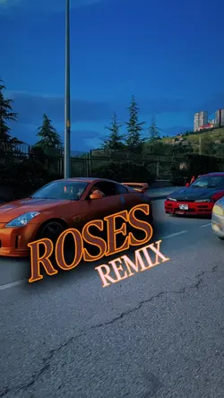 ROSES (HD)