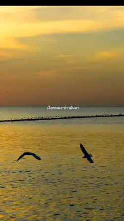 เงือกทอง