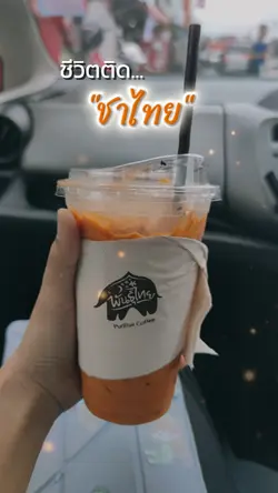 ชีวิตติดชาไทย