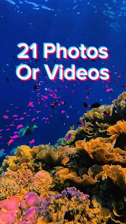 21 Photo Slides