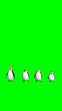 PENGUINS DANCING