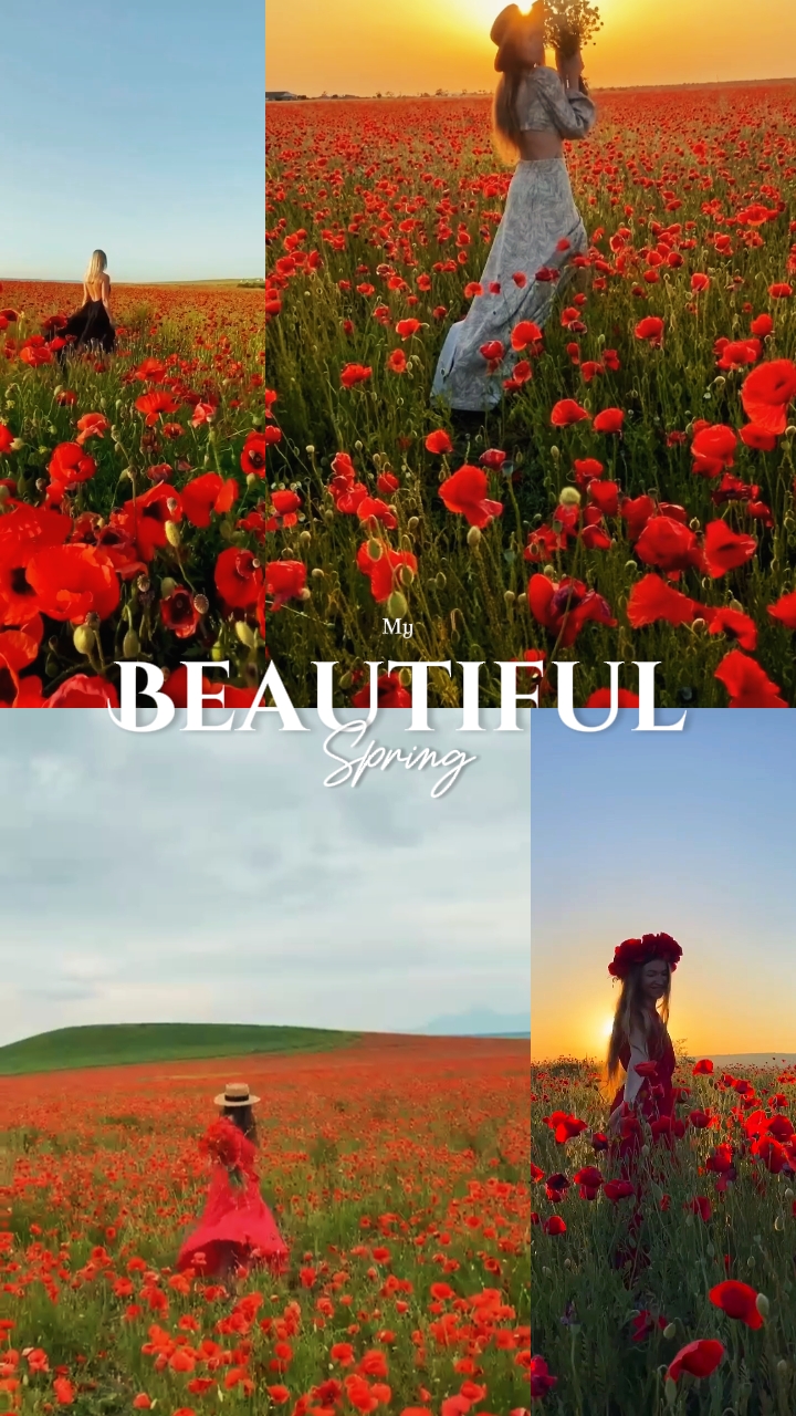 Mon beau printemps
